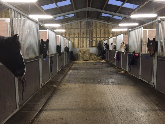 New Livery Barn